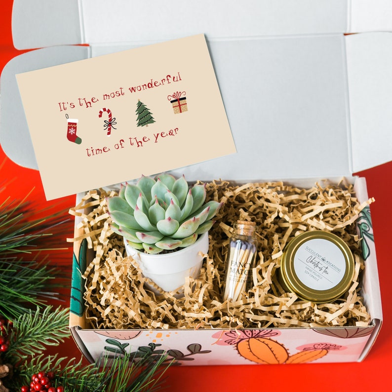 Holiday Gift For Friend - Christmas Gift For Friend - Holiday Gift Ideas - Coworker Holiday Gift - Client Christmas Gift Succulent Gift box 