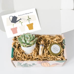 Thank you for helping us grow - Corporate Gifts - Coworker Gift - Thank You Gift Ideas - Live Succulent Gift Box - Gift Co-Workers