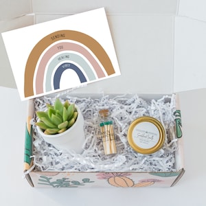 Healing Vibes Succulent Gift Box Set - Care Package - Surgery Gift - Hospital Gift - Cancer Gift - Injury gift - Get well gift ideas