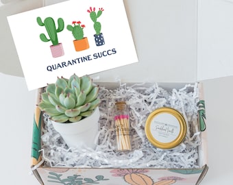 Quarantine Really Succs Without You - Quarantine Sucks Gift - Missing Friend - Missing Sister - Mother gift - Miss You Gift - Succulent gift