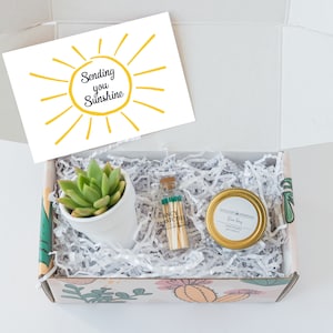 Sending You Sunshine Succulent Gift Box - Live Succulent Gift - Friendship Gift - Thinking of You Gift - Send a Gift - Care Package Set