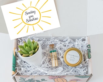 Sending You Sunshine Succulent Gift Box - Live Succulent Gift - Friendship Gift - Thinking of You Gift - Send a Gift - Care Package Set