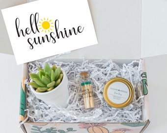 Hello Sunshine Succulent Gift Box - Care Package - Friendship Gift Ideas - Friendship Gift - Succulent gift - Custom gift - Gift for her