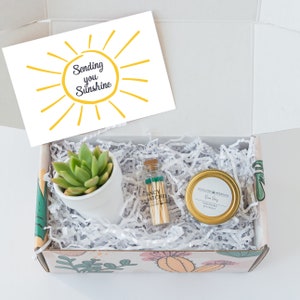 Sending You Sunshine Succulent Gift Box - Live Succulent Gift - Friendship Gift - Thinking of You Gift - Send a Gift - Care Package Set