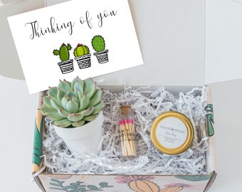 Thinking of you care package - Condolence gift - Sympathy gift ideas - Friendship - succulent and Soy Candle - sorry for your loss gift