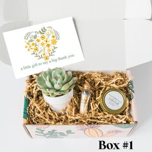 Thank You Gift Idea- Appreciation Gift- Big Thank you- Thank You Succulent and Candle Gift