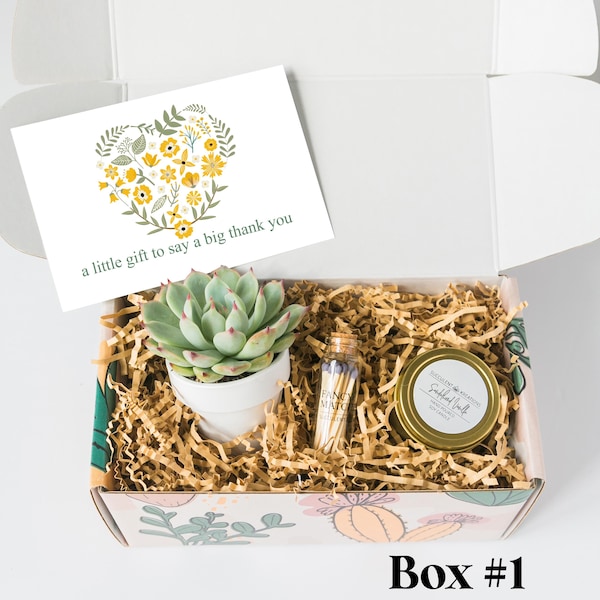 Idea de regalo de agradecimiento - Regalo de aprecio - Muchas gracias - Regalo de agradecimiento con suculentas y velas