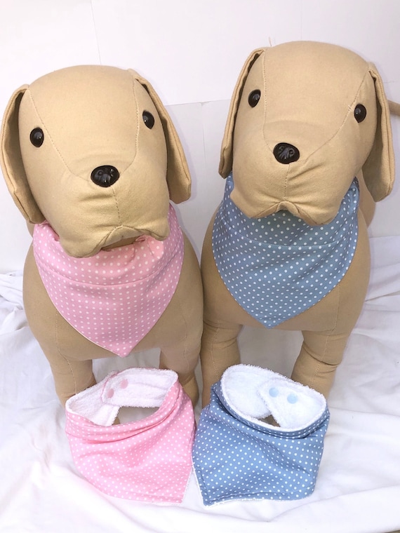 matching baby bib and dog bandana