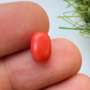 3.80 CRT Vintage Italian Coral Cabochon: Fine Orange Gemstone