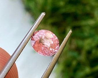 Saphir rose royal de Ceylan de 14,55 carats, pierres précieuses en vrac