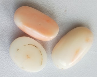 White Coral , Natural Precious white Coral , Oval White Coral Cabochons , Various Pieces , Beautiful White Coral for Making Jewelry.