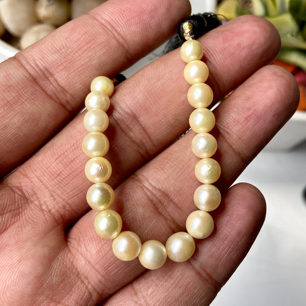 Extreme Rare Natural Basra Moti , Natural Basra Pearl From Irag , Old Vintage Antique Pearls from India, 18 Pearls with Great 6 to 6.7 mm