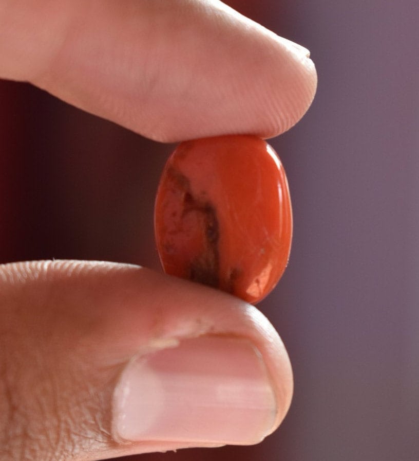 Lot De 100 Cabochons En Corail Naturel - Pierre Précieuse Vintage - Italie - Qualité Excellente