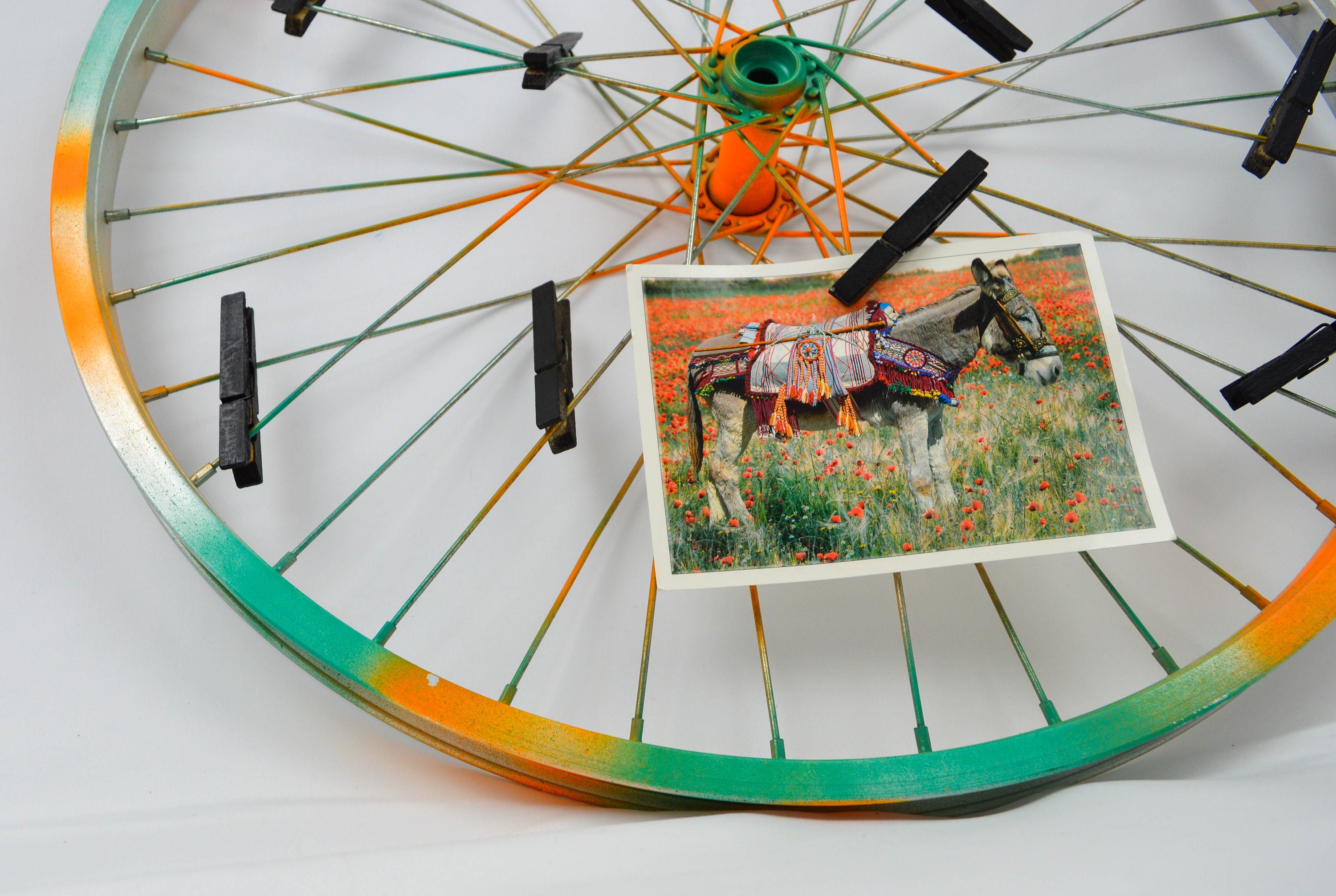 Repurposed bike wheel frame. Photo display. Etsy