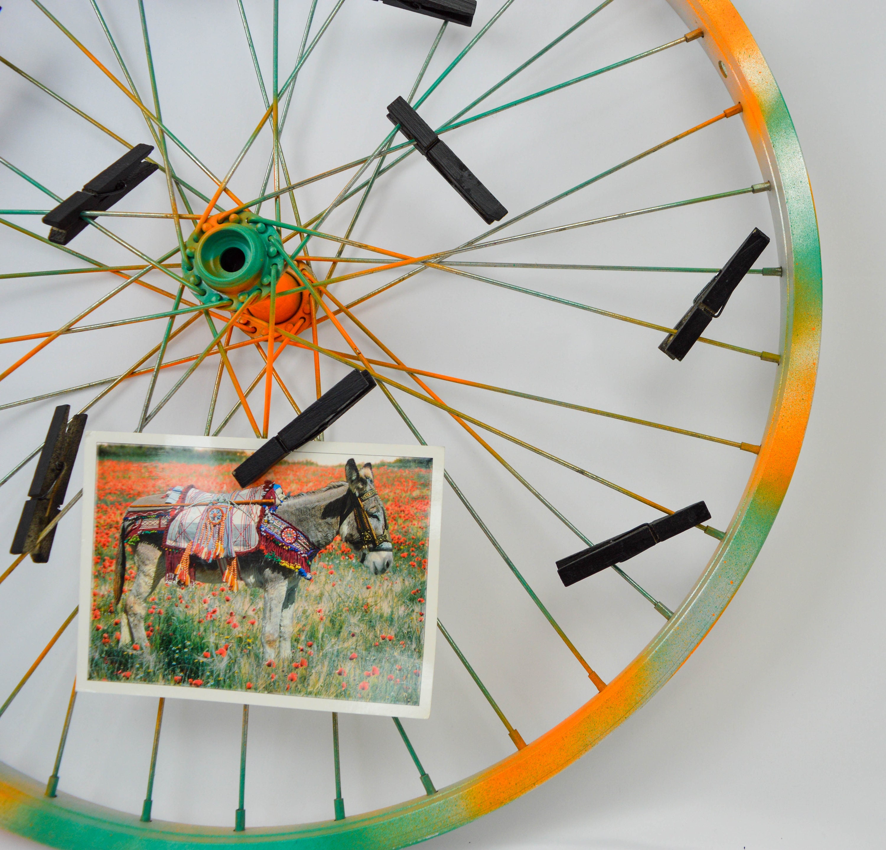 Repurposed bike wheel frame. Photo display. Etsy