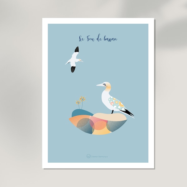 Affiche illustration oiseau marin, le fou de bassan, format A4