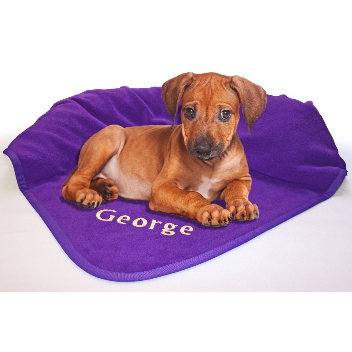 Personalised Pet Blankets For Dogs or Cats Many Colours To Etsy