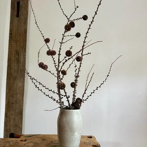 Könnte beinhalten: Eine beige Keramikvase hält Zweige mit kleinen braunen Tannenzapfen. Die Vase hat eine strukturierte Oberfläche und eine leicht ausgestellte Form. Die Anordnung steht auf einem rustikalen Holztisch vor einer weißen Wand.