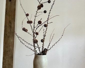3 Lärchenzweige mit Zapfen 60 cm