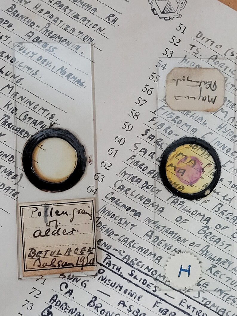 100 Antique and Vintage Microscope Slides / Microscope Slides Etsy UK