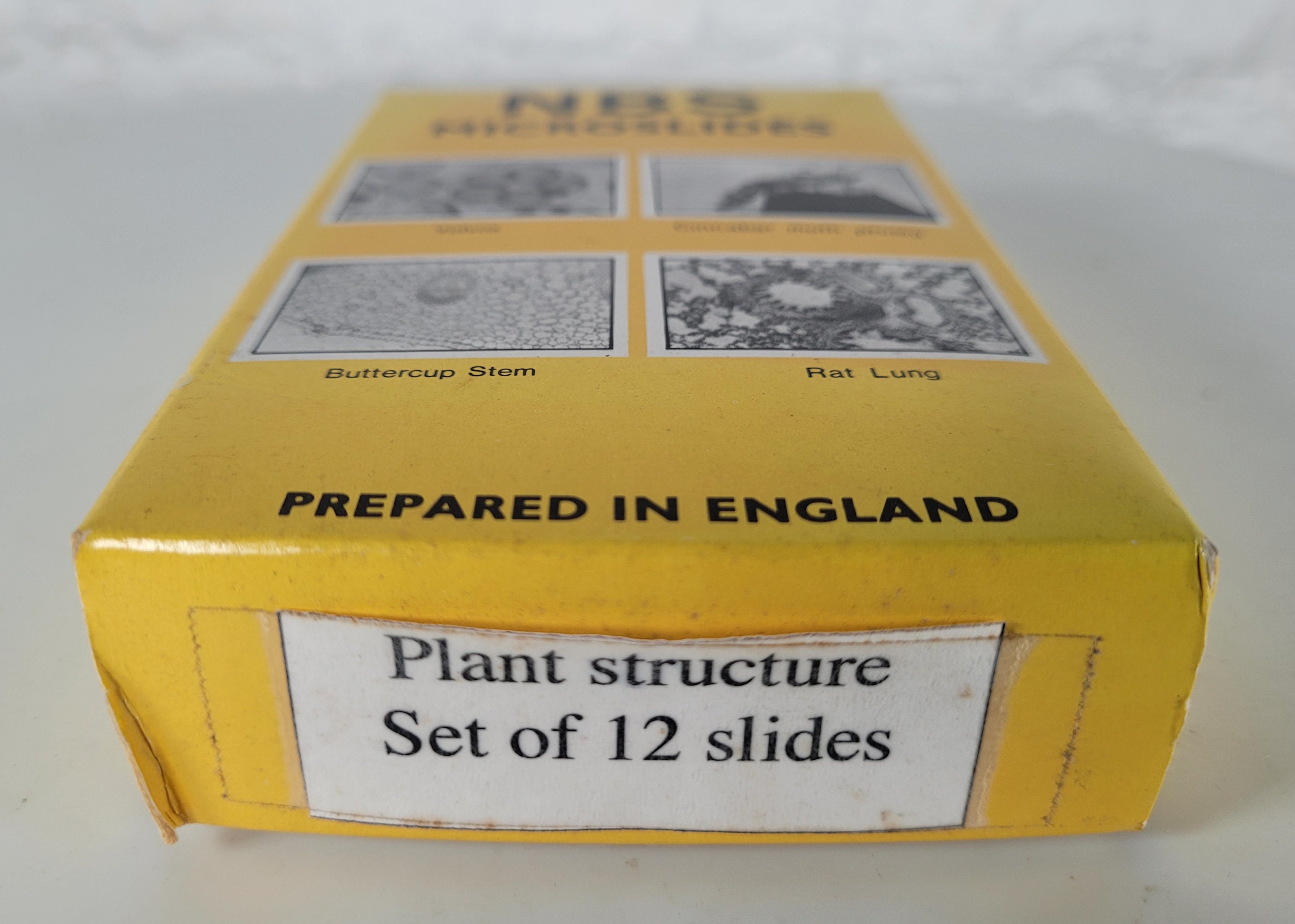 12 Vintage Microscope Slides / Microscope Slides in Box / Etsy