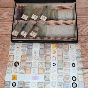 100 Antique German Microscope Slides  / Edwardian Teaching Microscope Slide Set / Schuler and Mass