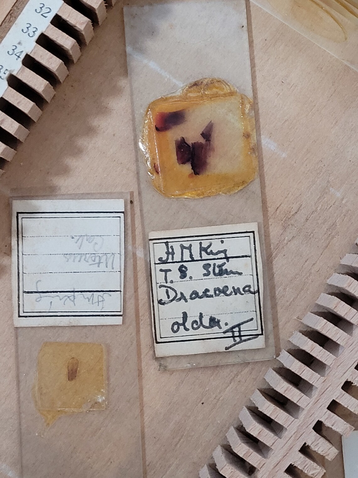 100 Antique and Vintage Microscope Slides / Microscope Slides Etsy UK