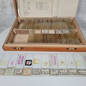 100 Vintage Microscope Slides / Microscope Slides in Box / Microscope Slide Collection