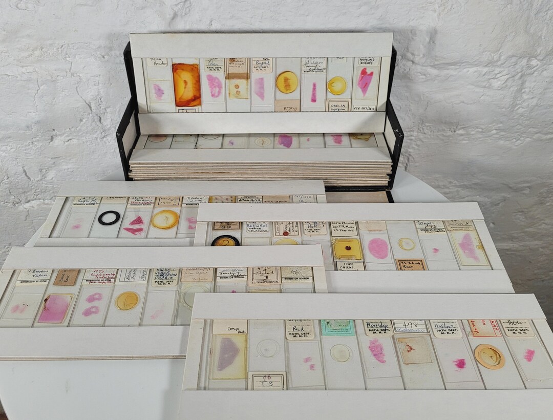 99 Antique and Vintage Microscope Slides / Microscope Slides in Box