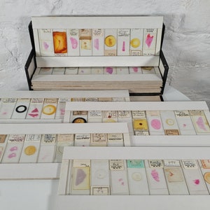99 Antique and Vintage Microscope Slides / Microscope Slides in Box / Microscope Slide Collection