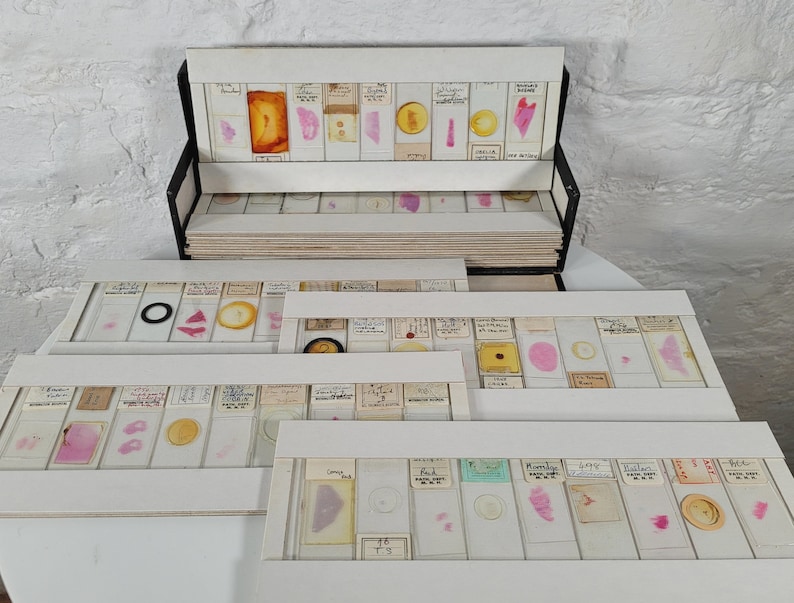 99 Antique and Vintage Microscope Slides / Microscope Slides in Box