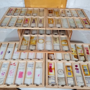 144 Vintage Microscope Slides / 144 Slides in Wooden Box