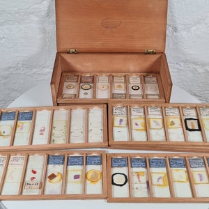 Puede incluir: Una caja de madera llena de filas de portaobjetos de microscopio de vidrio. Los portaobjetos están etiquetados y contienen varios especímenes. La caja está abierta y los portaobjetos son visibles.