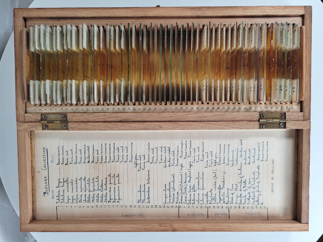 50 Vintage Microscope Slides / Microscope Slides in Box / Microscope