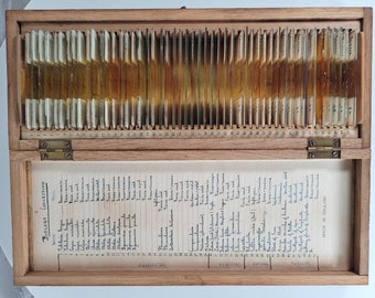 50 Vintage Microscope Slides / Microscope Slides in Box / Microscope Slide Collection