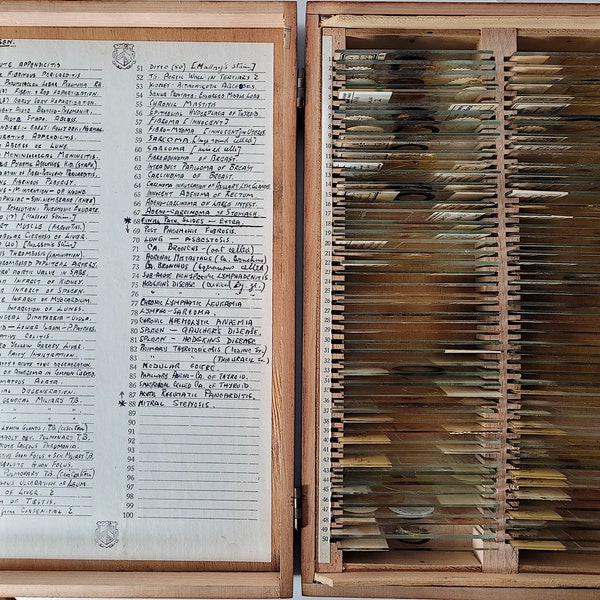 Antique Microscope Slides in Box Etsy