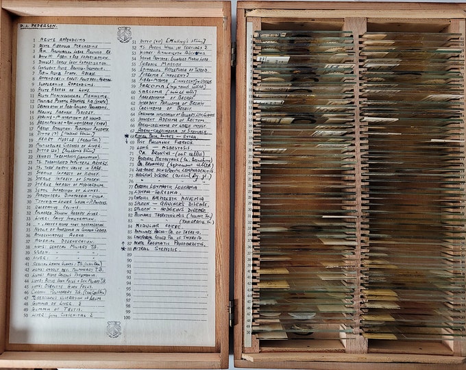 100 Antique and Vintage Microscope Slides / Microscope Slides in Box