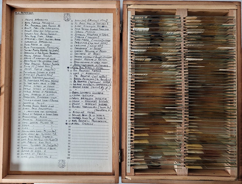 100 Antique and Vintage Microscope Slides / Microscope Slides Etsy UK