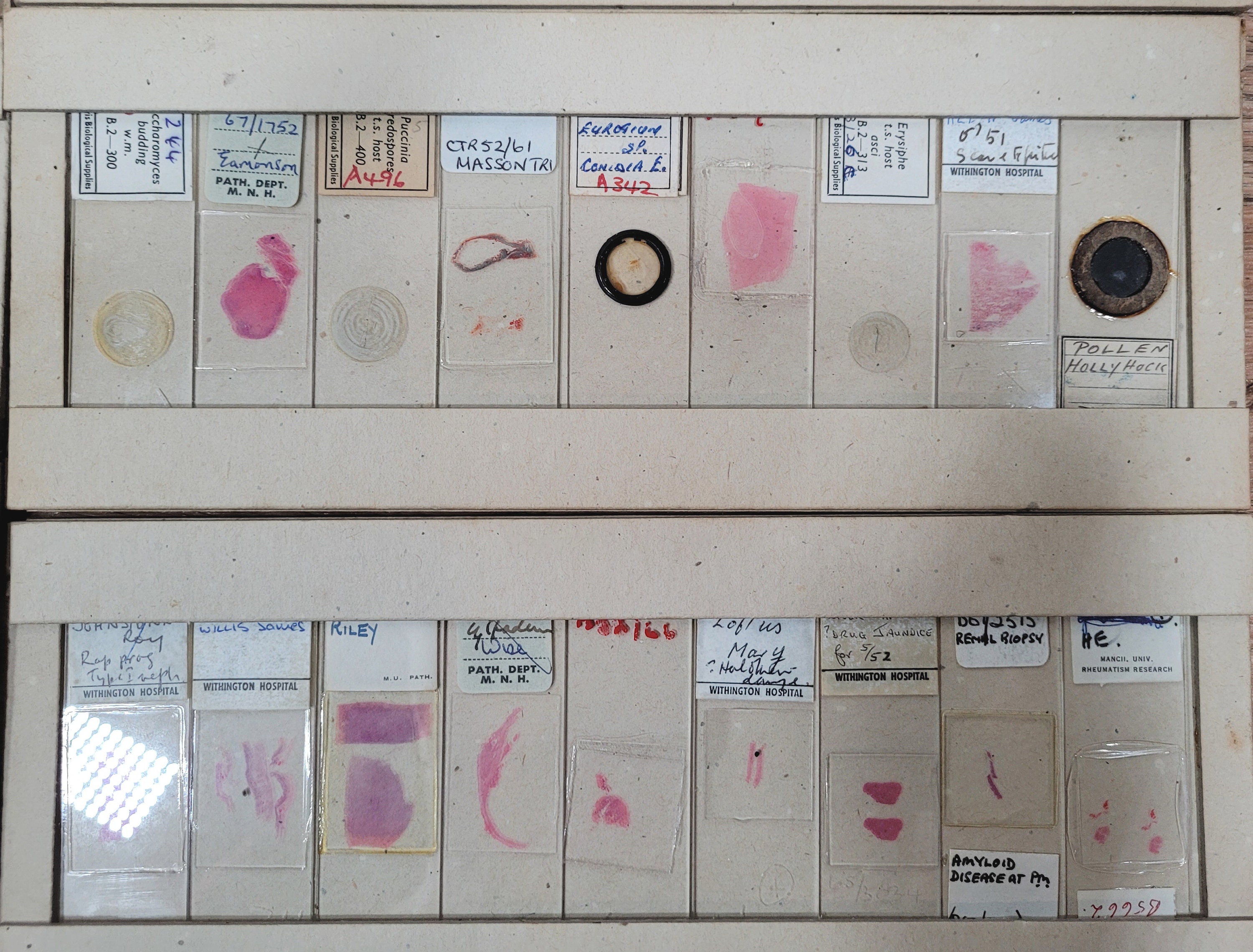 108 Antique and Vintage Microscope Slides / Microscope Slides in Box