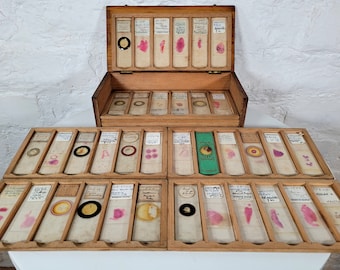 66 Antique Edwardian and Later Microscope Slides / 66 Slides in Wooden Box