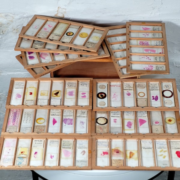 72 Antique and Vintage Microscope Slides: 72 Slides in Wooden Box