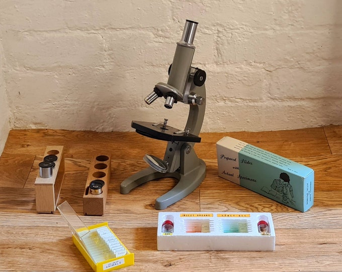 Vintage Microscope With Specimen Kit and Microscope Slides Etsy UK