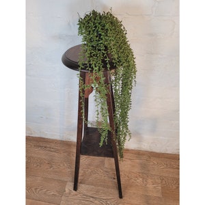 May include: A dark brown wooden plant stand with a round top and three legs. The stand has a shelf below the top. A green plant with trailing vines is on the top of the stand.