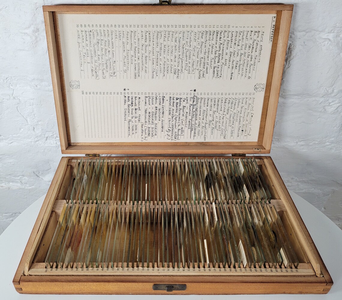 100 Antique and Vintage Microscope Slides / Microscope Slides Etsy UK
