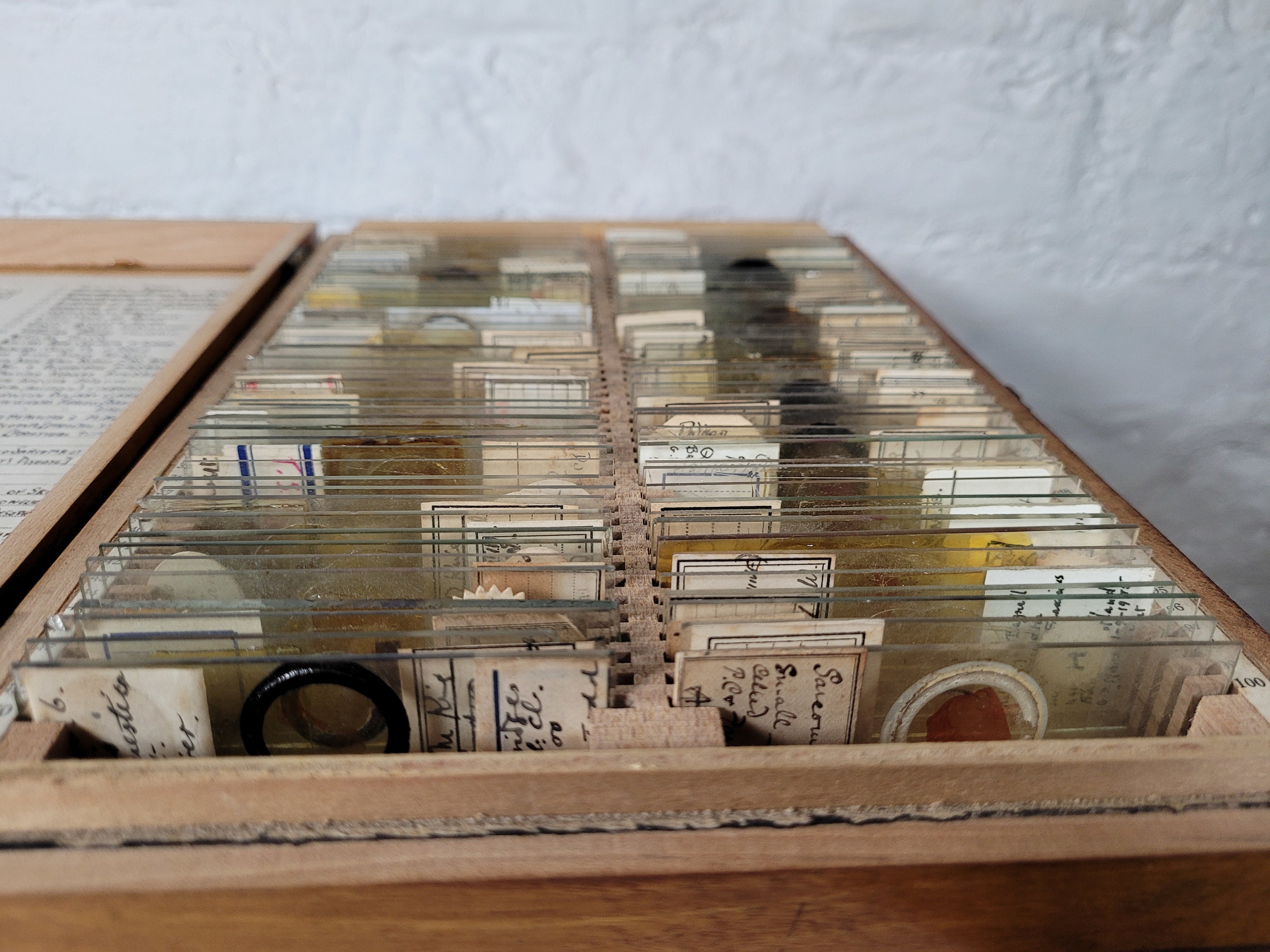 100 Antique and Vintage Microscope Slides / Microscope Slides in Box