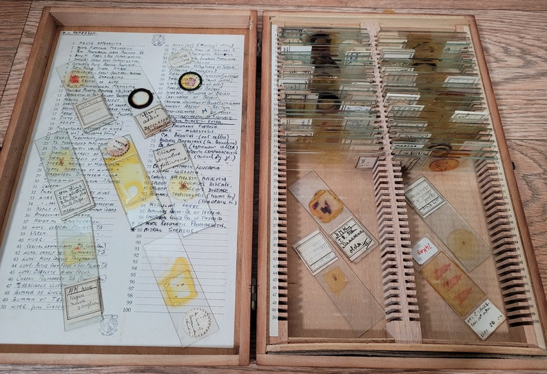 100 Antique and Vintage Microscope Slides / Microscope Slides Etsy UK