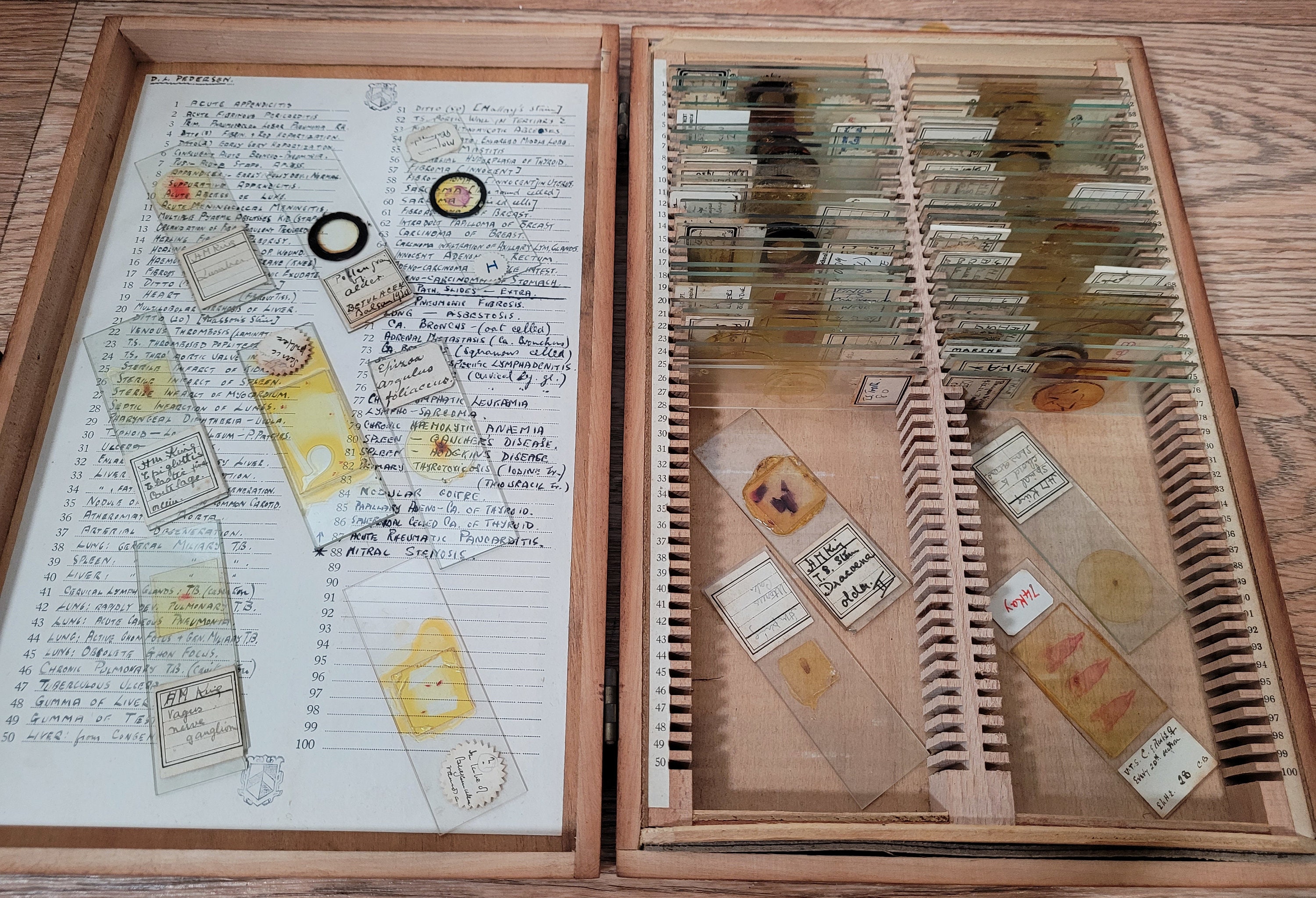 100 Antique and Vintage Microscope Slides / Microscope Slides Etsy UK