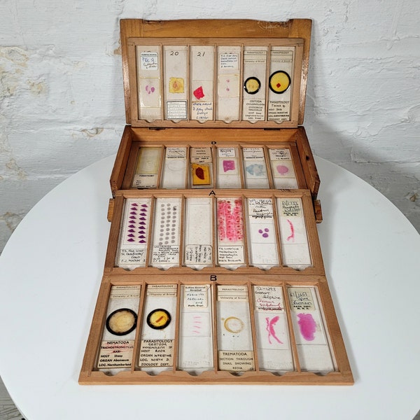 Microscope Slides Etsy