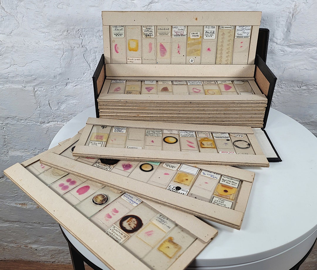 108 Antique and Vintage Microscope Slides / Microscope Slides in Box