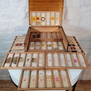 96 Antique Victorian and Later Microscope Slides: 96 Slides in Wooden Box